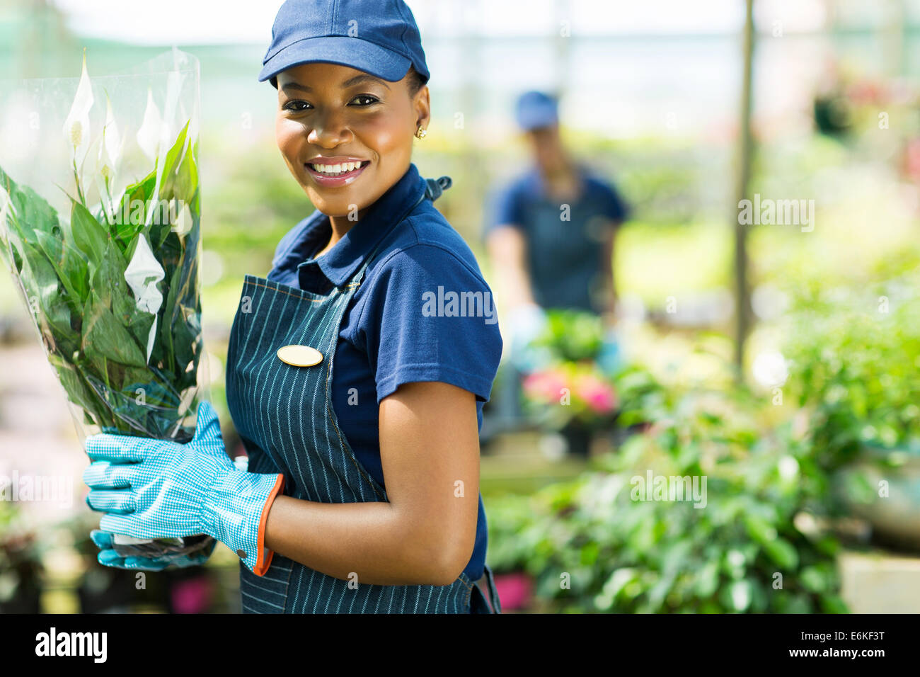 pretty African American nursery worker holding potted plant Stock Photo ...