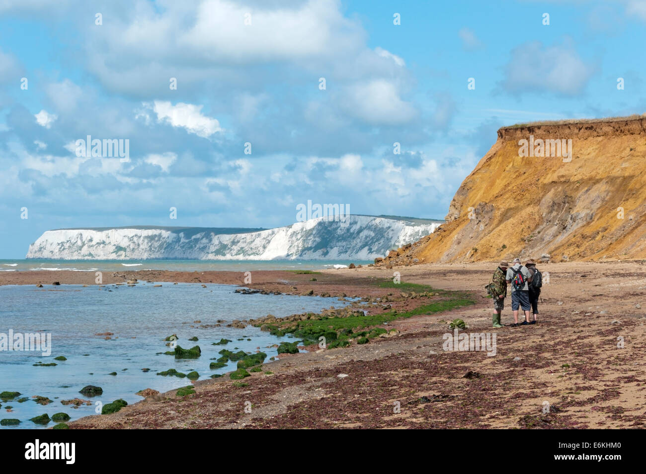 Fossil hunters on the beach at Brook Bay, Isle of Wight. Stock Photo