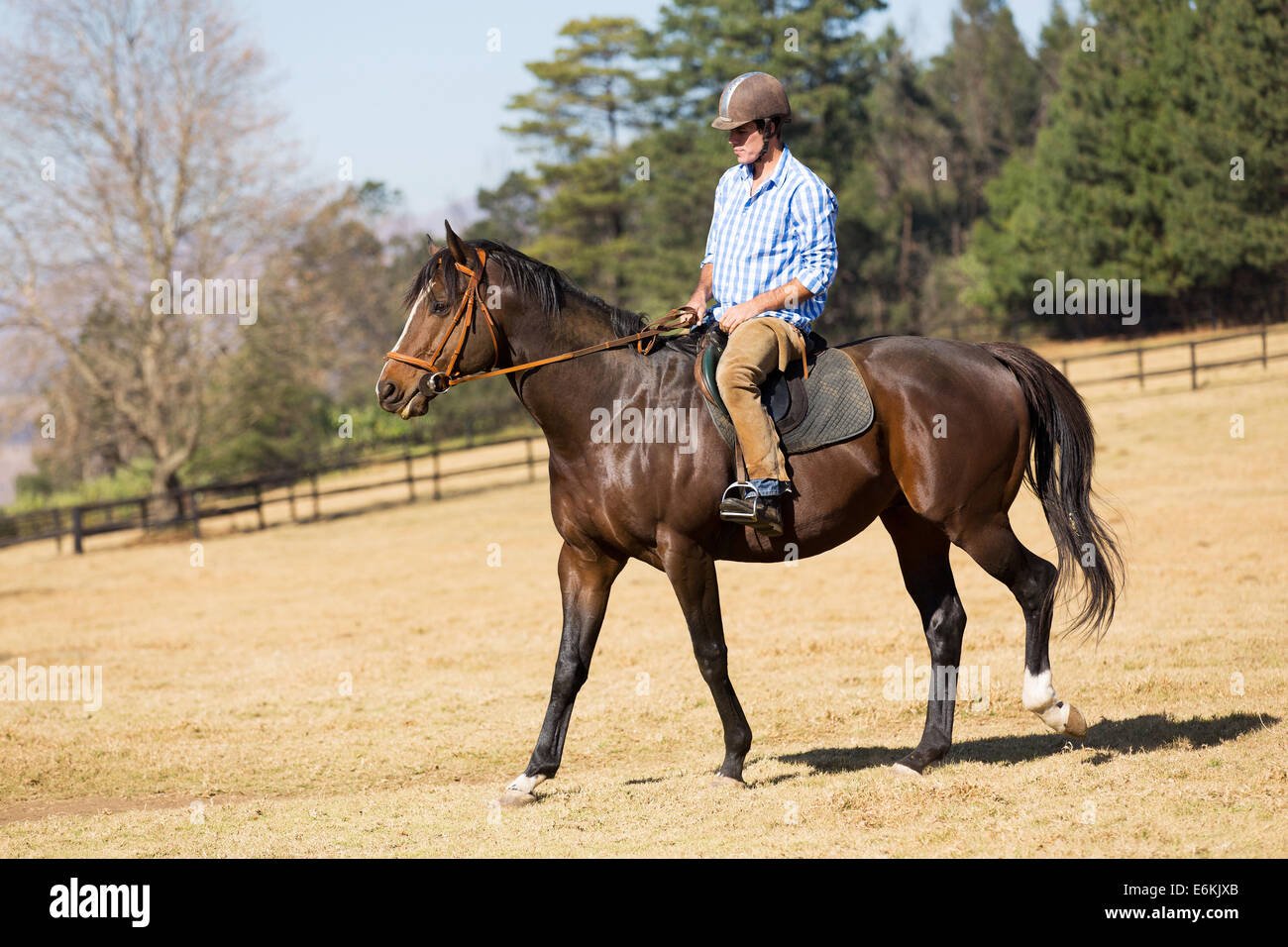 Man riding a horse hi-res stock photography and images - Alamy