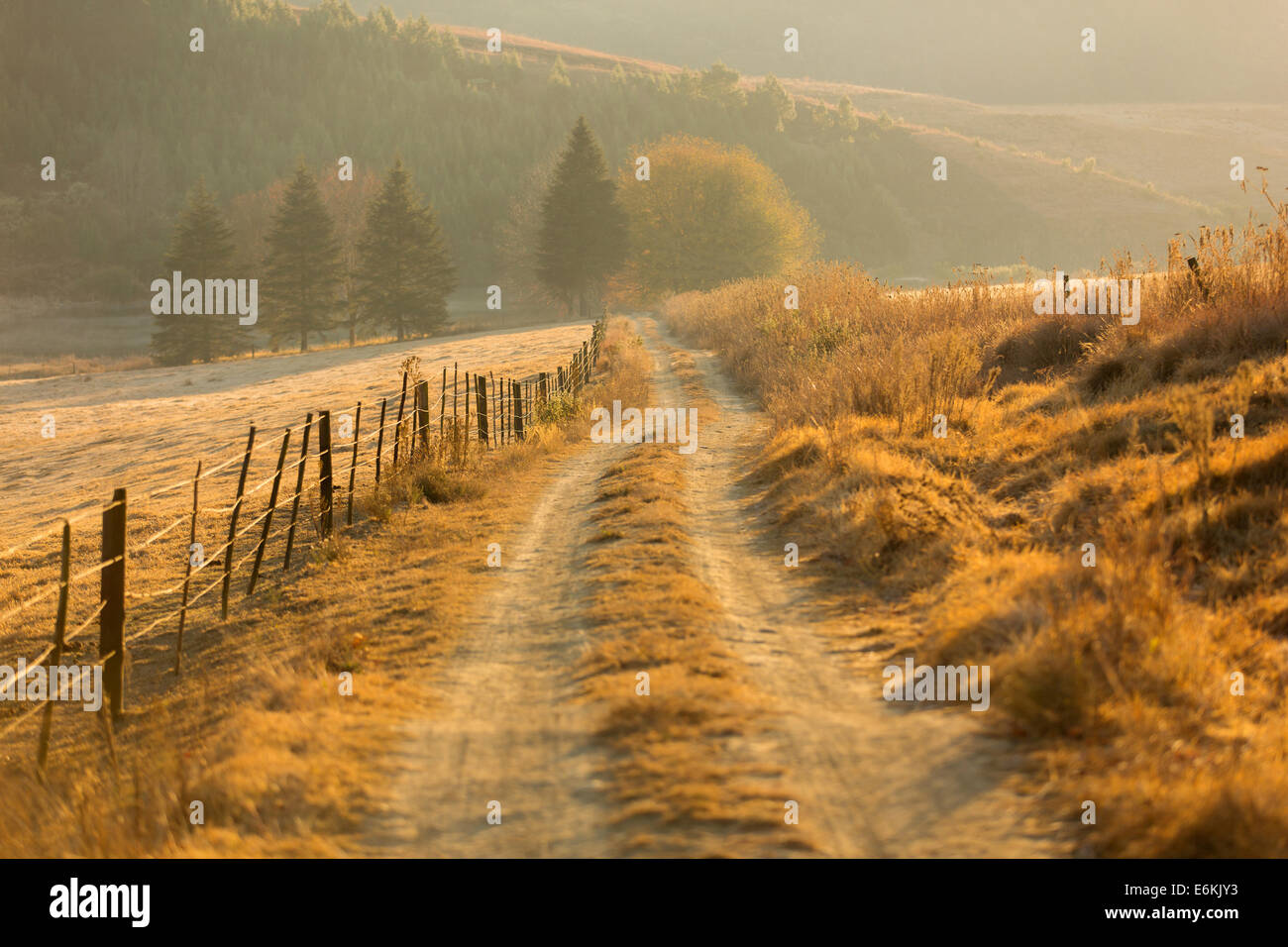 autumn rural path in the mountain Stock Photo - Alamy