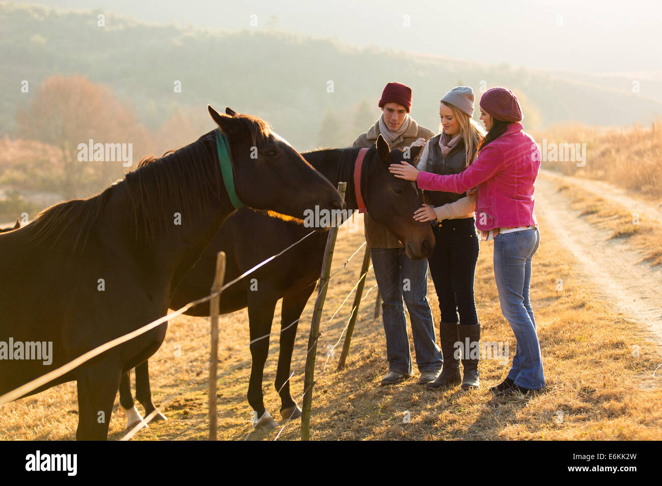 group of friends petting horses in countryside Stock Photo Alamy