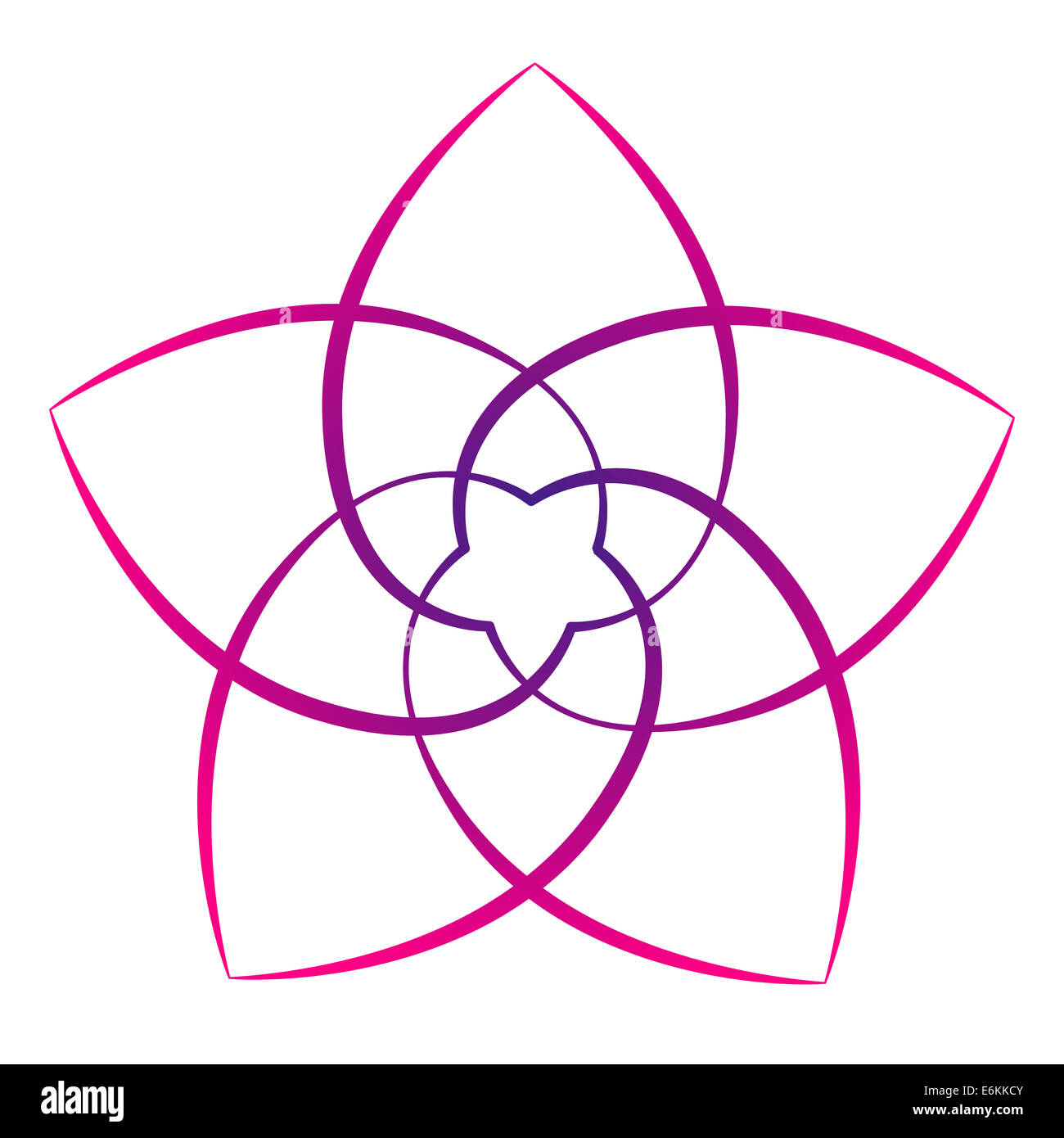 Pink flower of the venus, symbol of love and harmony Stock Photo Alamy