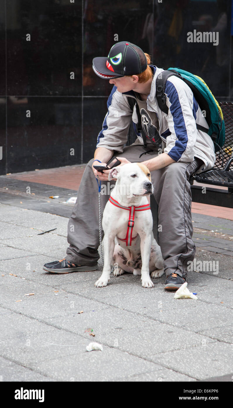 Young male sat on an urban bench with mobile phone and dog, England, UK Stock Photo