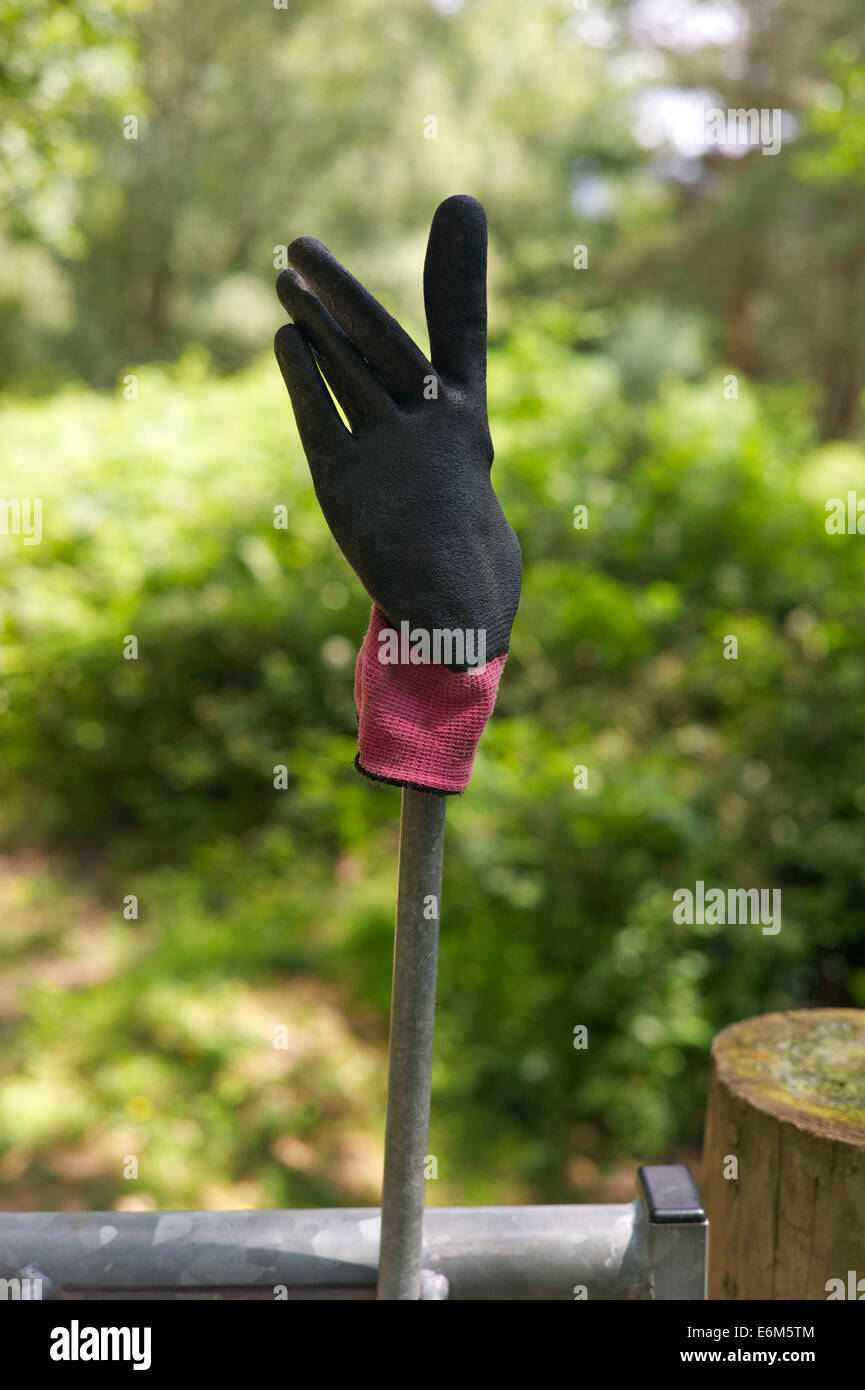 Lost black glove on gate in the country, Devon UK Stock Photo