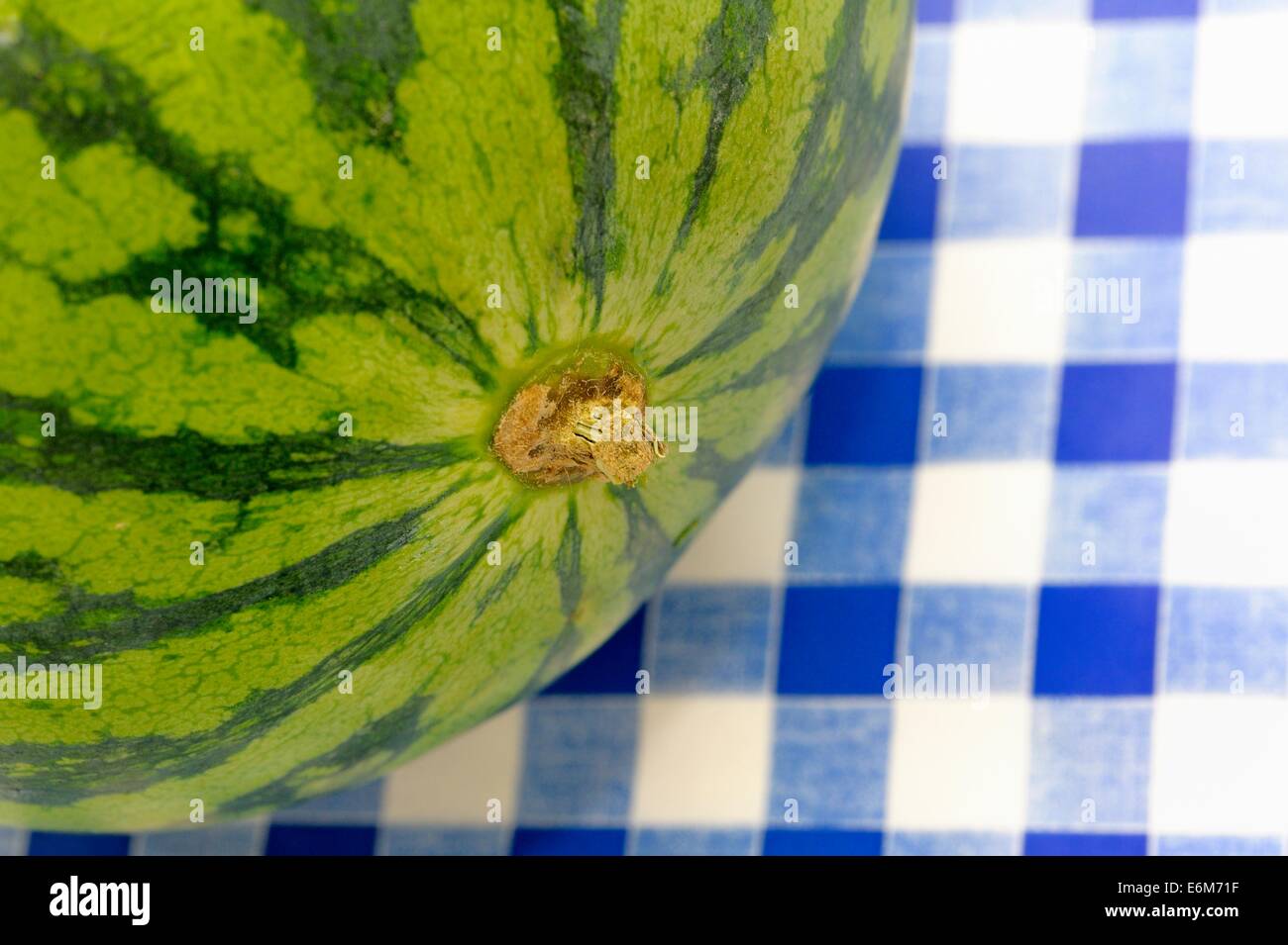 Como Se Dice Melón En Inglés Water melon fruits hi-res stock photography and images - Page 4 - Alamy