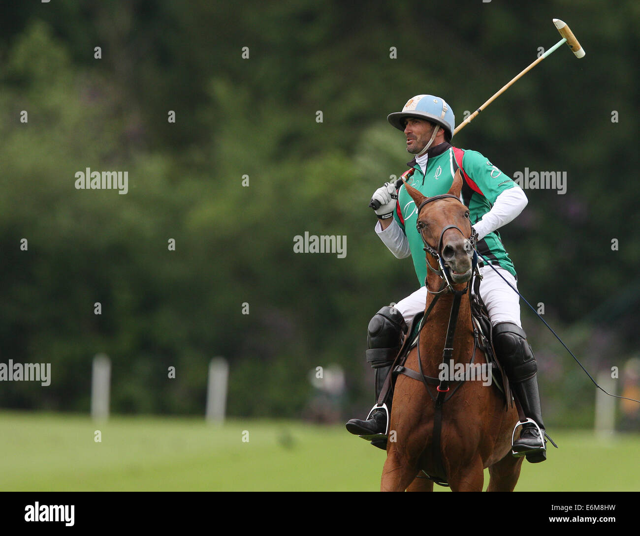 Dubai gold cup field hi-res stock photography and images - Alamy
