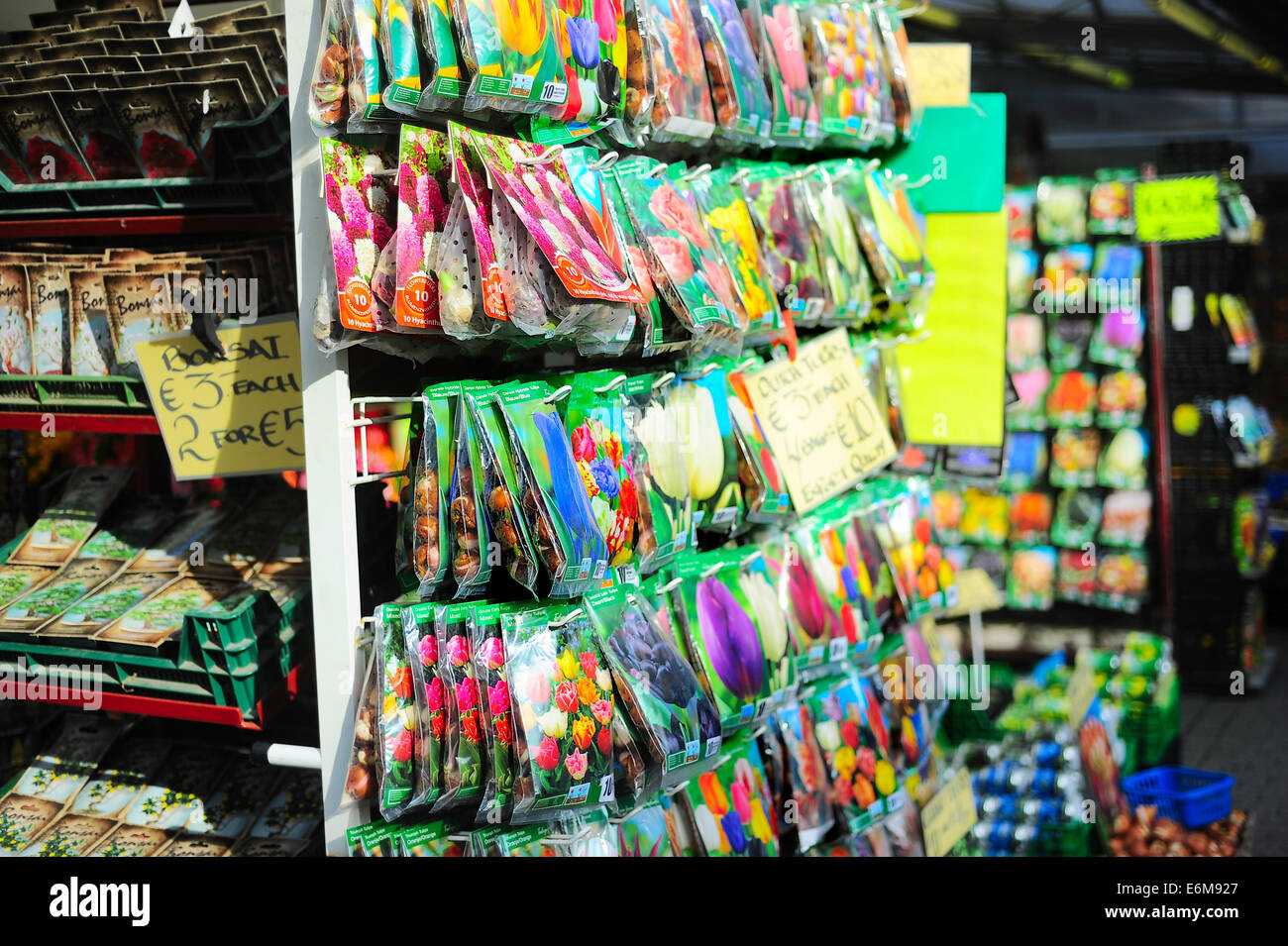 Tulip seeds hires stock photography and images Alamy