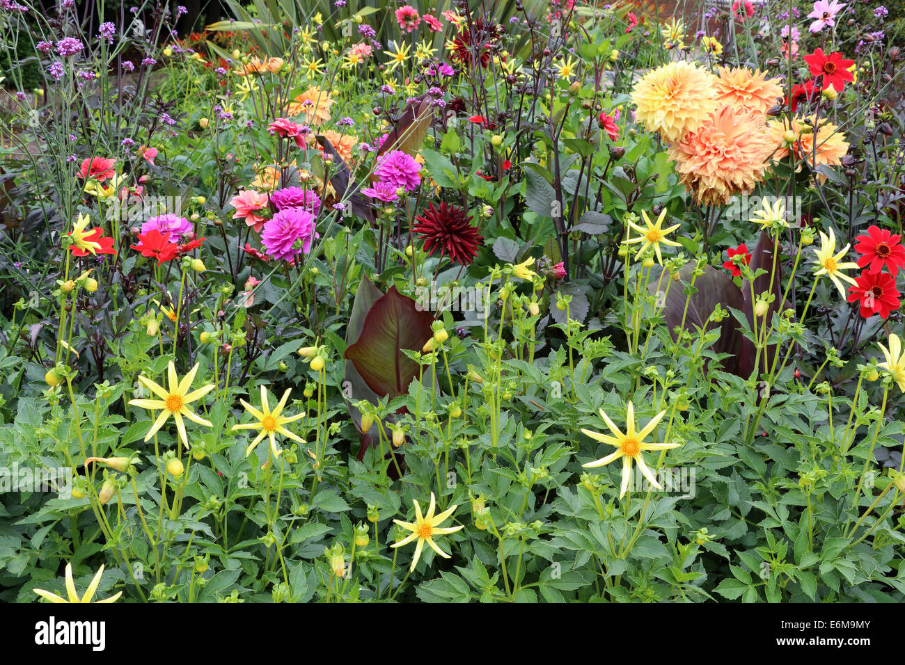 Summer Flower Border Stock Photo
