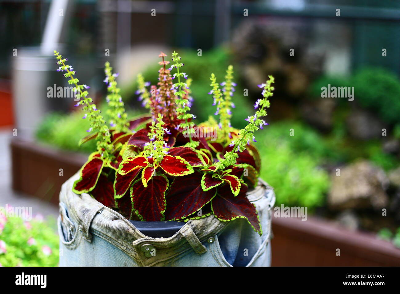 Sky garden in myeongdong hi-res stock photography and images - Alamy