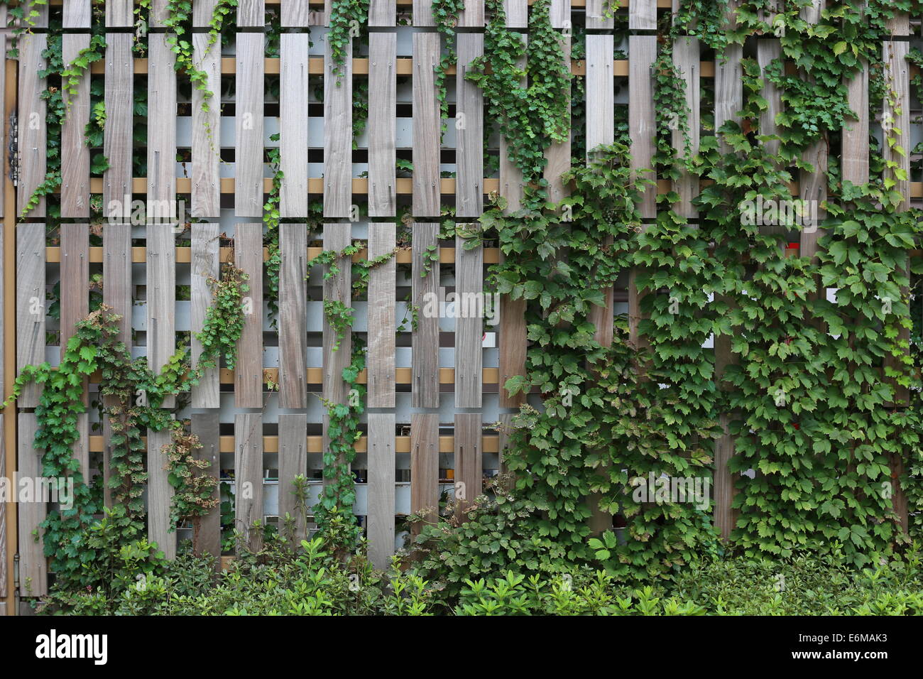 Sky garden in myeongdong hi-res stock photography and images - Alamy
