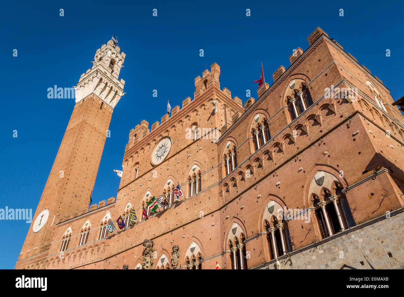 siena-town-hall-hi-res-stock-photography-and-images-alamy