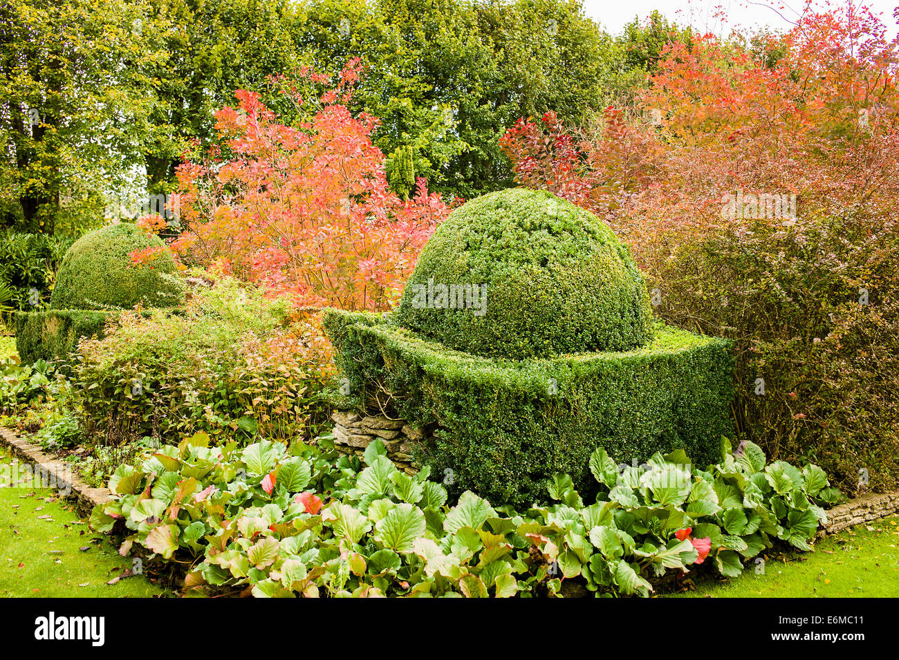 Topiary in The Courts garden Wiltshire UK Stock Photo
