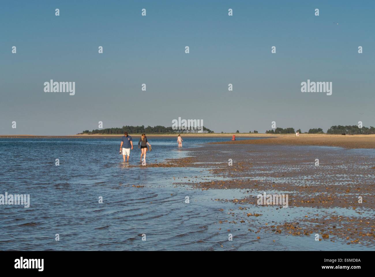 Stretch of beach with people paddling, Wells-next-the-sea, Norfolk, England. Stock Photo