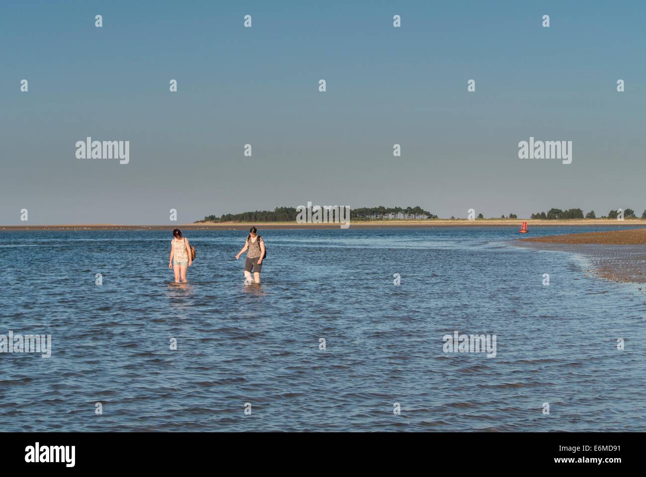 Stretch of beach with people paddling, Wells-next-the-sea, Norfolk, England. Stock Photo