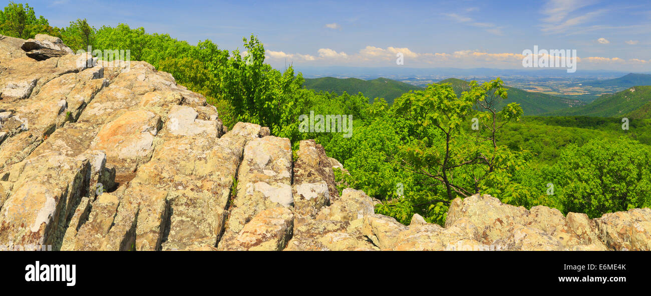 View from Frazier Discovery Trail, Loft Mountain, Shenandoah National Park, Virginia, USA Stock Photo