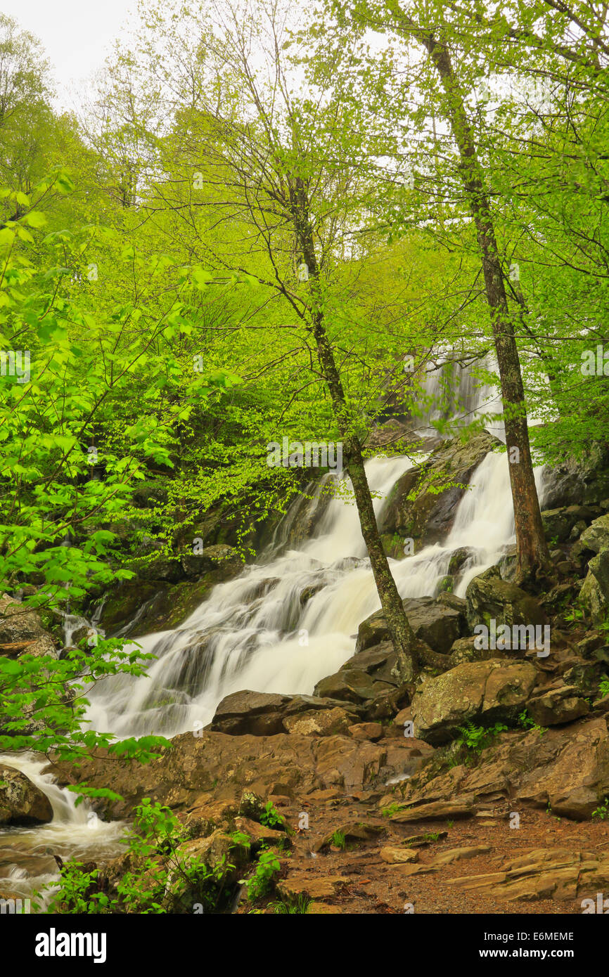 Dark Hollow Falls, Shenandoah National Park, Virginia, USA Stock Photo ...