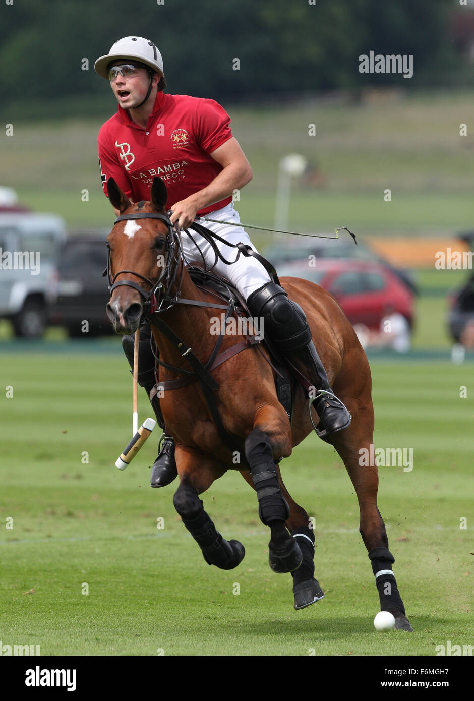 Ollie Cudmore of La Bamba De Areco Polo team plays in the 2013 Veuve Clicquot Polo Gold cup, at Cowdray Park Polo Club Stock Photo