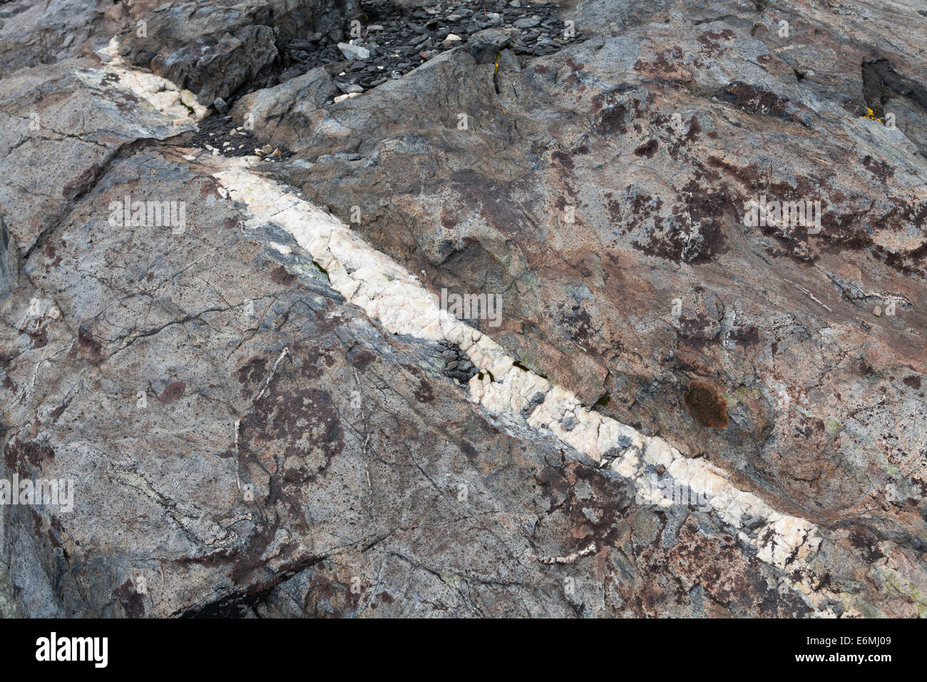 Quartz vein in granite rock California USA Stock Photo Alamy