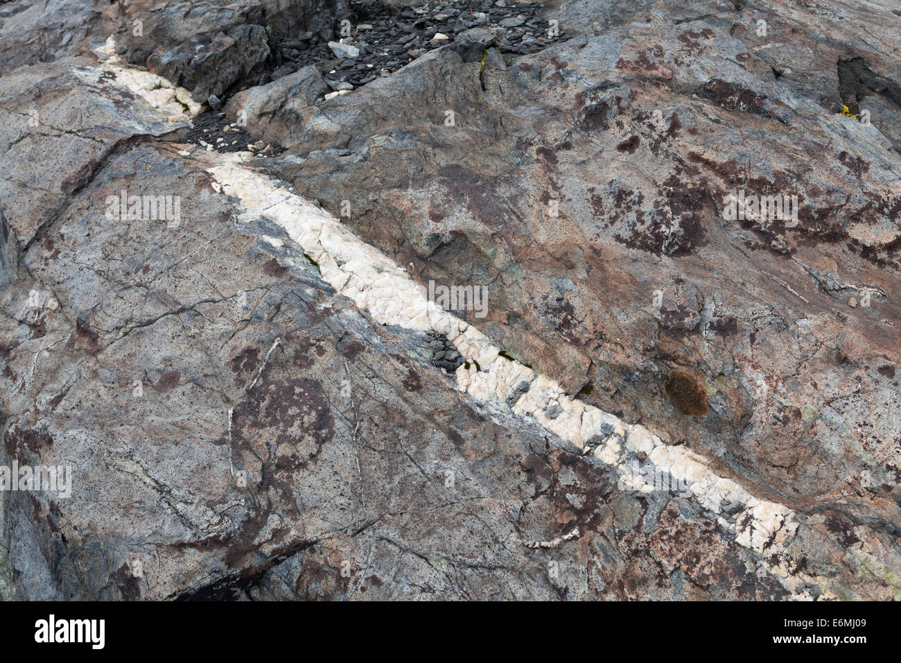 Quartz Vein In Granite Rock California Usa Stock Photo Alamy