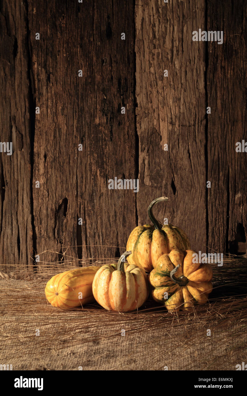 Autumn pumpkins with leaves on wooden board Stock Photo - Alamy