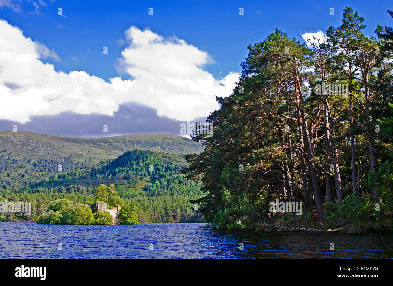 The ruined island castle and a stand of Scots Pine trees on Loch an Eilein, Rothiemurchus, Cairngorms National Park, Scotland UK Stock Photo