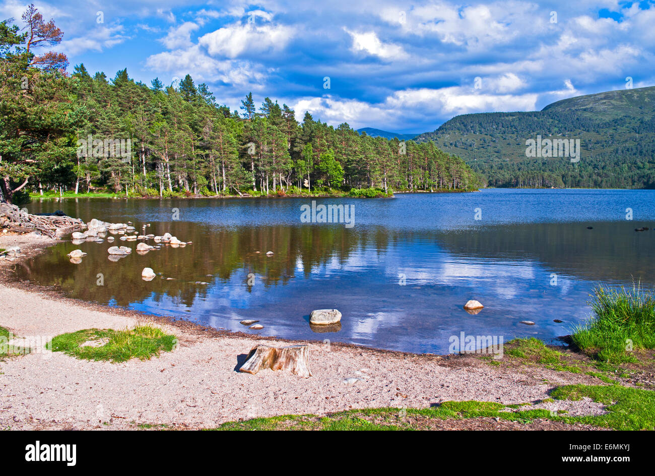 Scots Pine trees, hills and sky reflected in Loch an Eilein, Rothiemurchus, calm summer evening, Cairngorms , Highlands Scotland Stock Photo