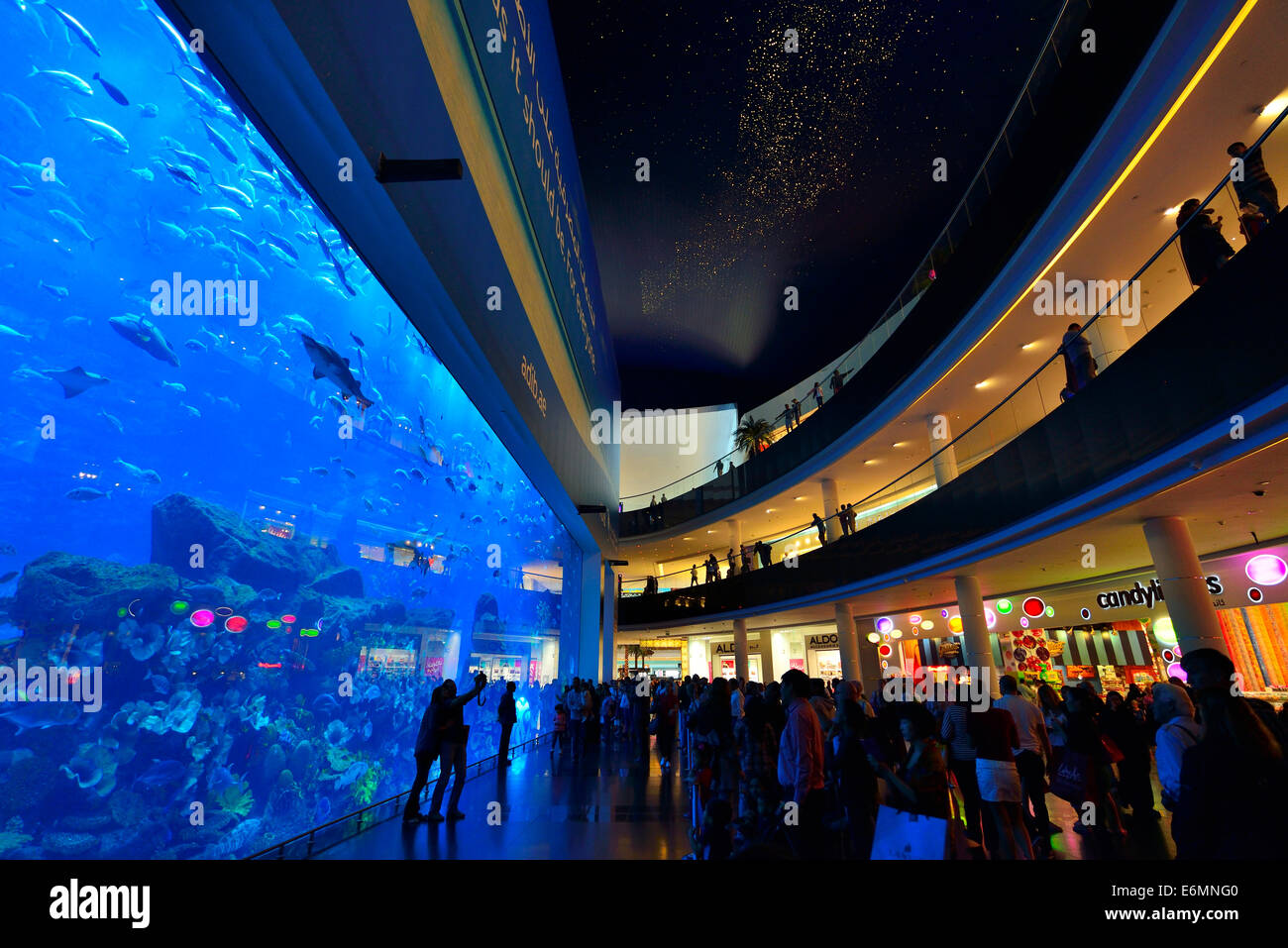 Aquarium in the Dubai Mall shopping centre, Downtown, Dubai, United Arab Emirates Stock Photo