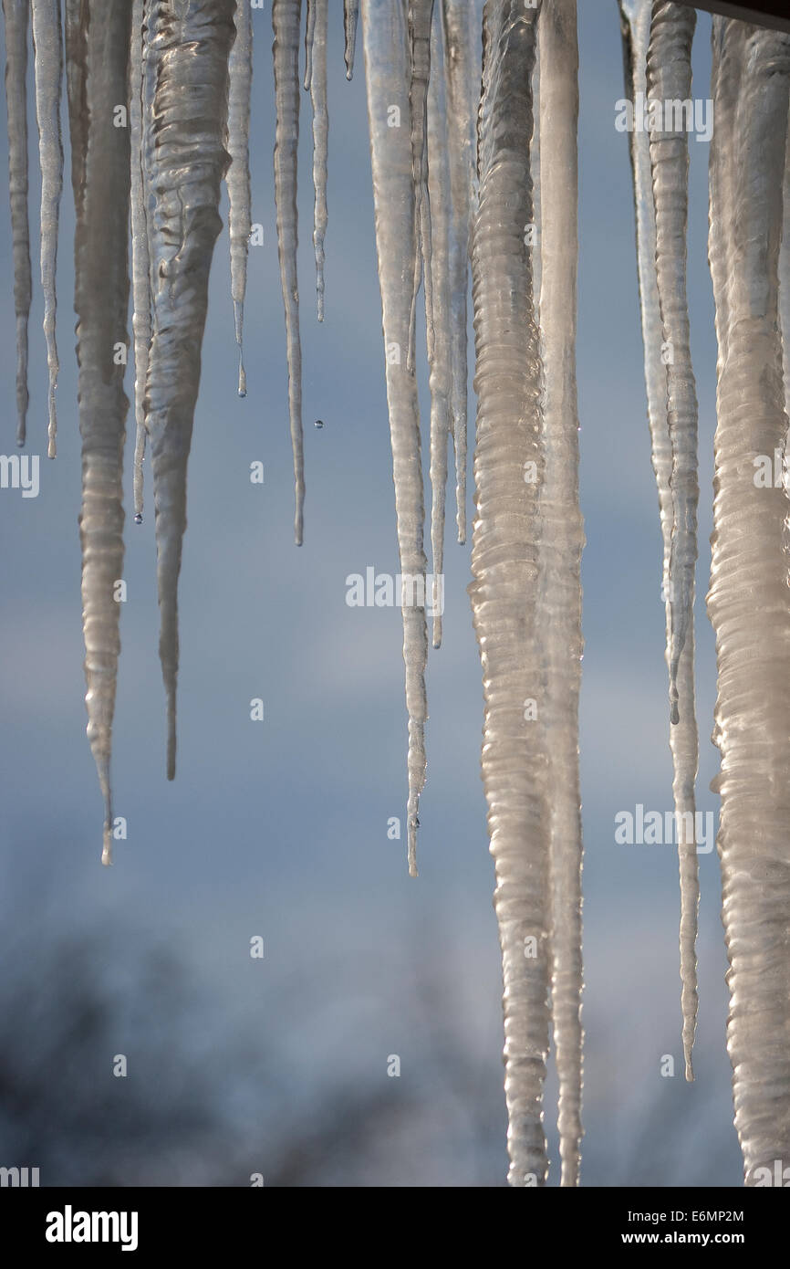 Icicle, Icicles, Ice, Winter, cold, Eiszapfen, Eis-Zapfen, Winter, kalt, Eis Stock Photo