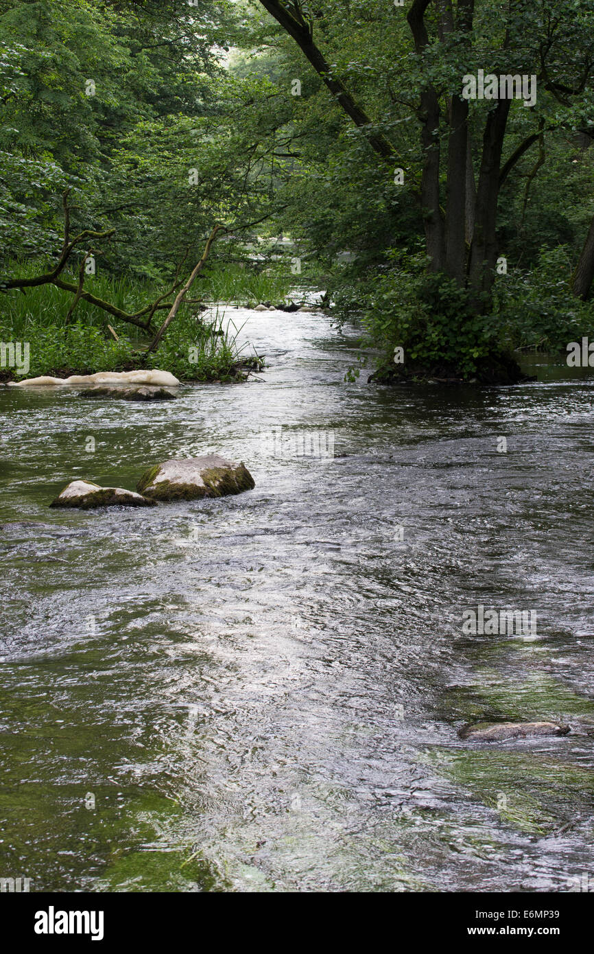Brook, rivulet, stream, Bach, Tiefland-Bach, Naturnaher Bachlauf, Fluß, Fluss, Warnow, Mecklenburg-Vorpommern Stock Photo