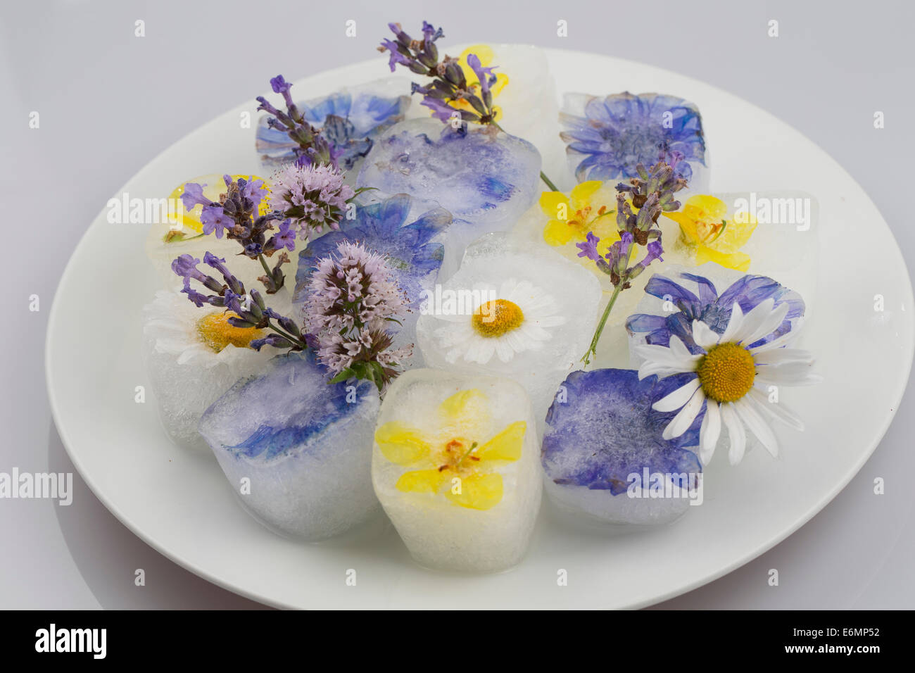 ice cube, ice cubes with edible flowers, blossoms, Blüteneiswürfel, Blüten-Eiswürfel, Eiswürfel mit Blüten, Blütenblättern Stock Photo