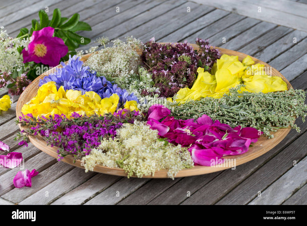 Blütenteller, Blüten, Blumen, Kräuter, Kräuter sammeln, Kräuterernte, Blütenblätter auf einem Teller sortiert zum Trocknen, essb Stock Photo