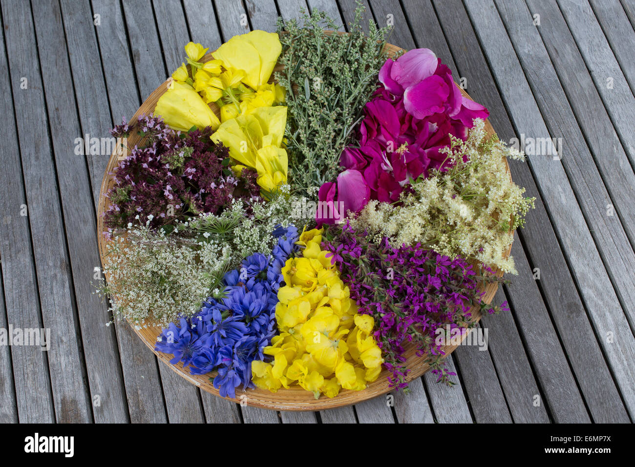 blossoms, flowers on a plate for drying, Blütenteller, Blüten, Blumen, Kräuter, Trocknen, essbare Blüten, bunt, Muster Stock Photo