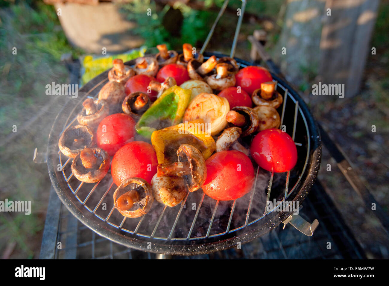 Grilling vegetables for the party outdoors Stock Photo