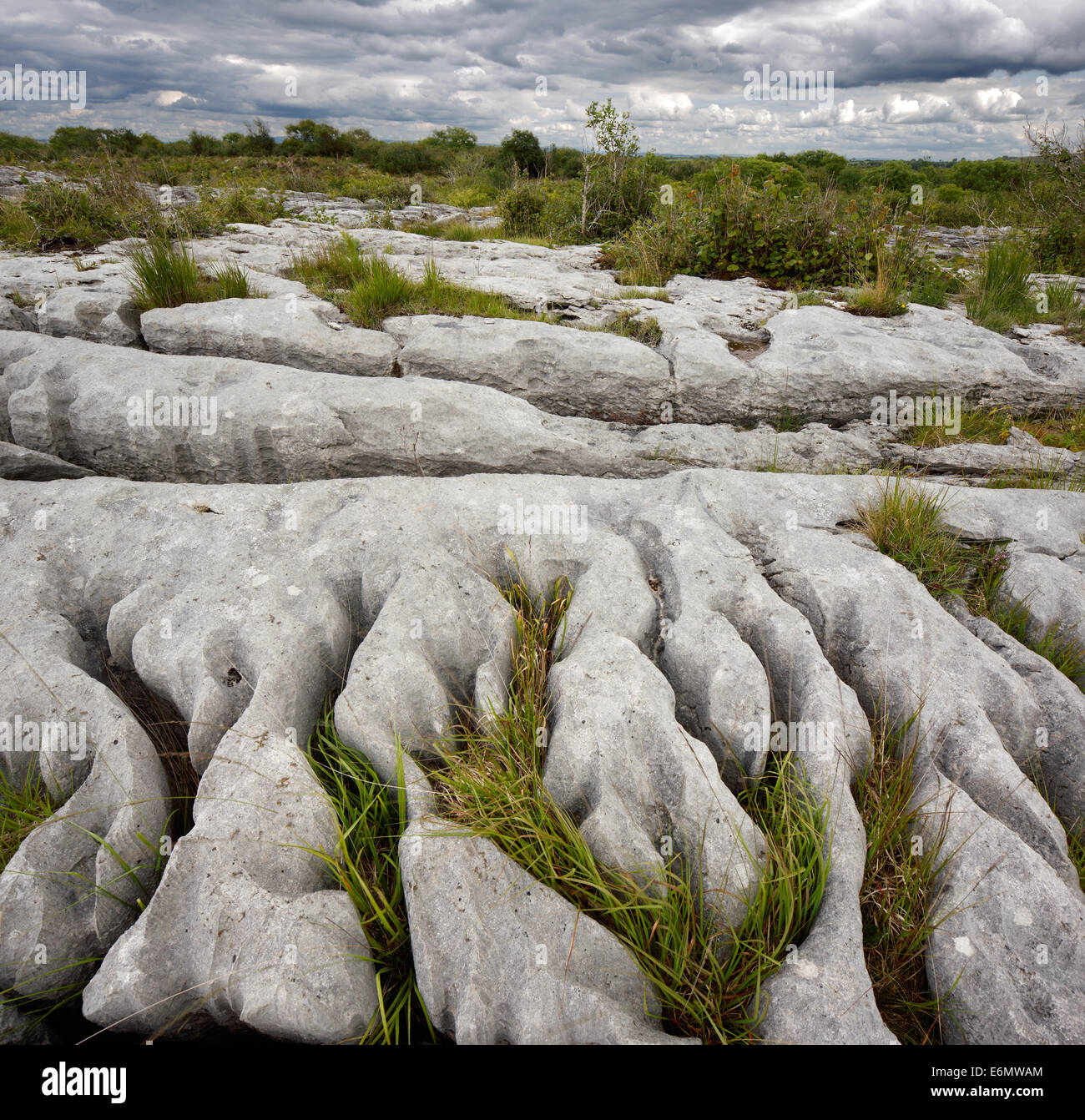 Rocky landscape of the Limestone Pavement Mountains in The Burren in