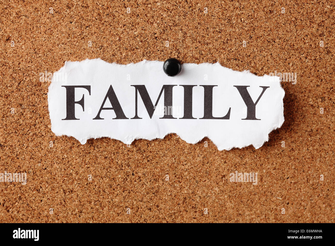 Torn piece of paper with the word 'Family' on cork board (bulletin board) Stock Photo