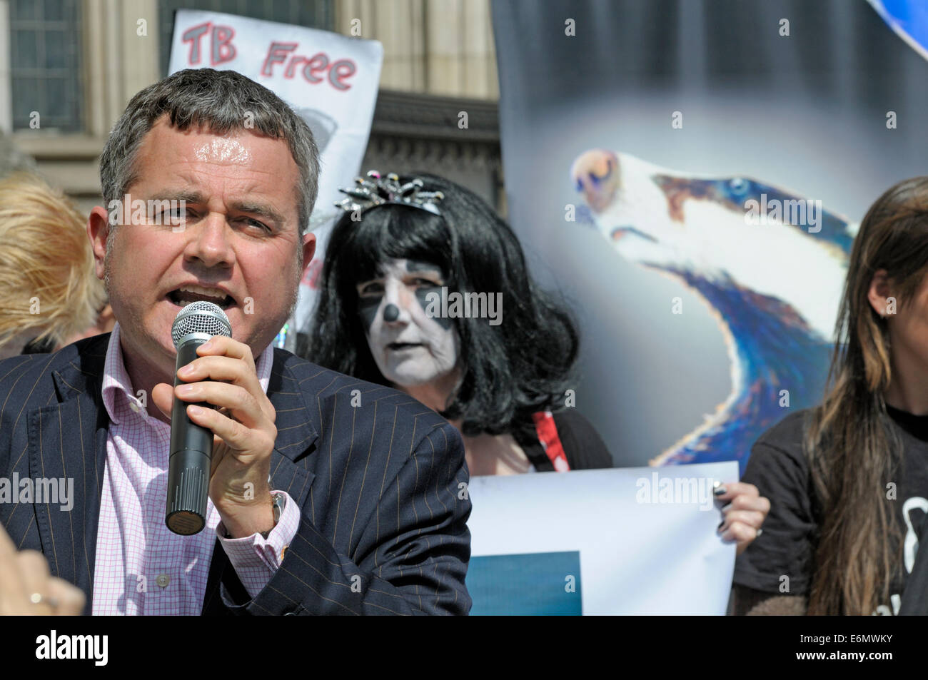 Tuesday August 19, 2014. Dominic Dyer speaks to protesters outside the High Court in London as the Badger Trust seek a Judicial Stock Photo
