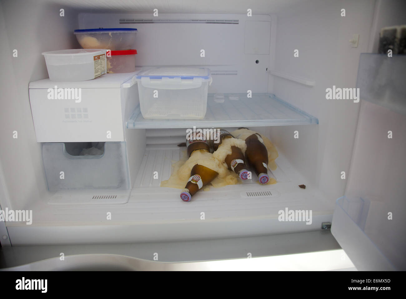 Beer bottles put in a freezer for to long Stock Photo Alamy