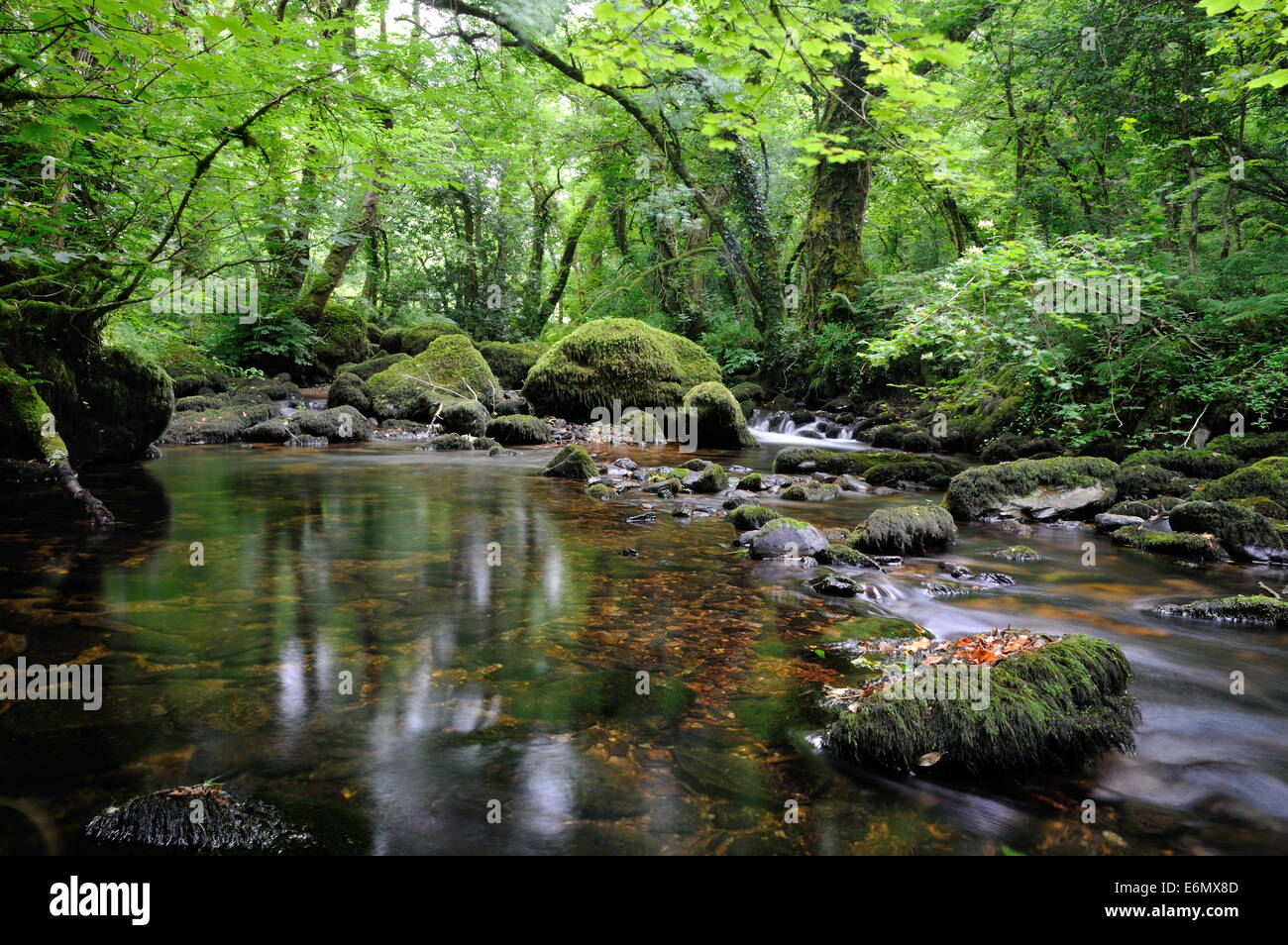 Brynberian hires stock photography and images Alamy
