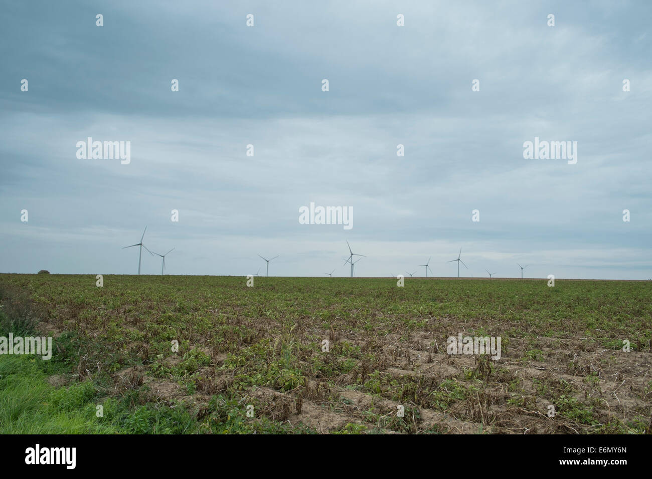 General view picture of wind farm in rural setting Stock Photo - Alamy