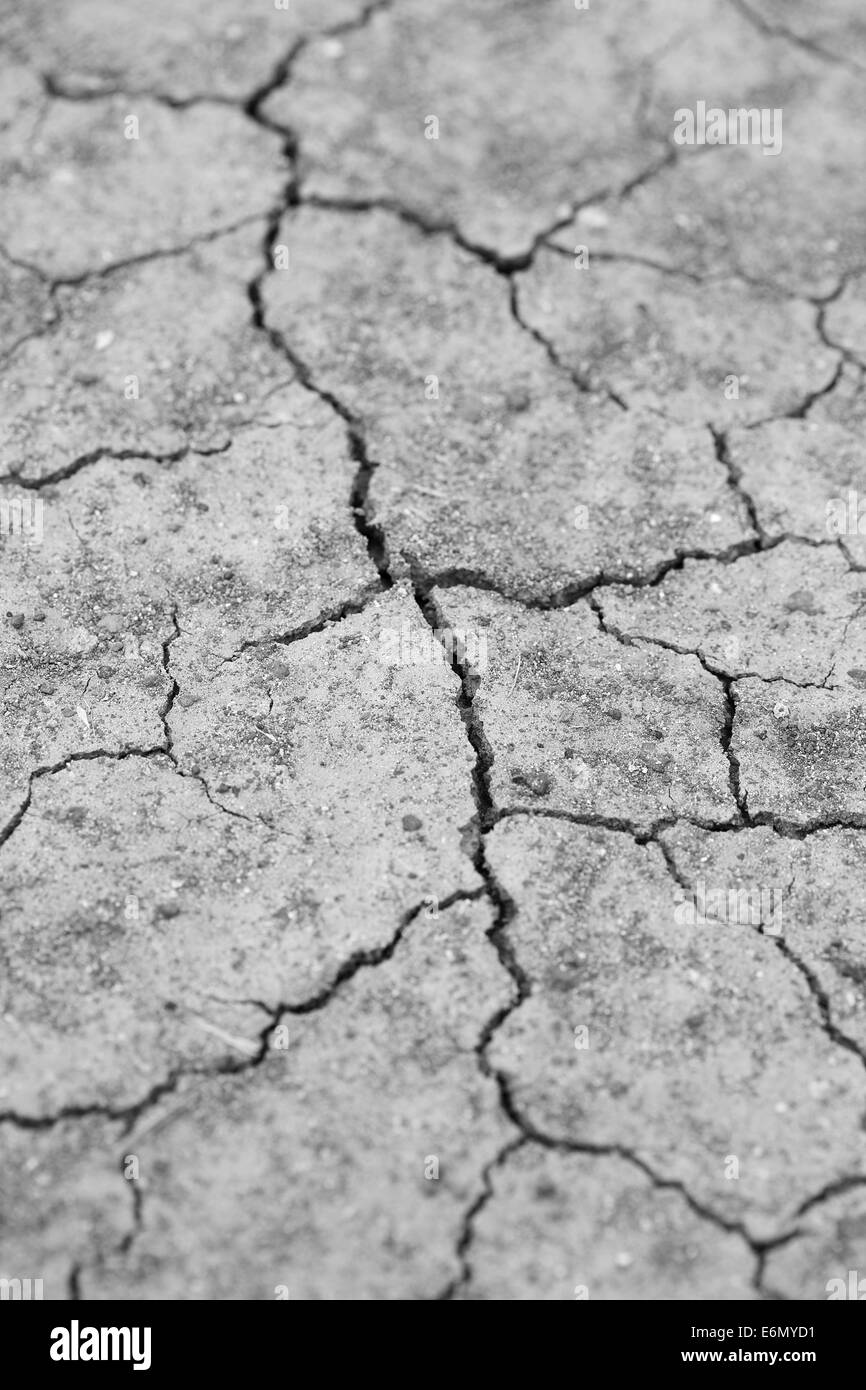 close-up of dry dracked soil ground texture Stock Photo