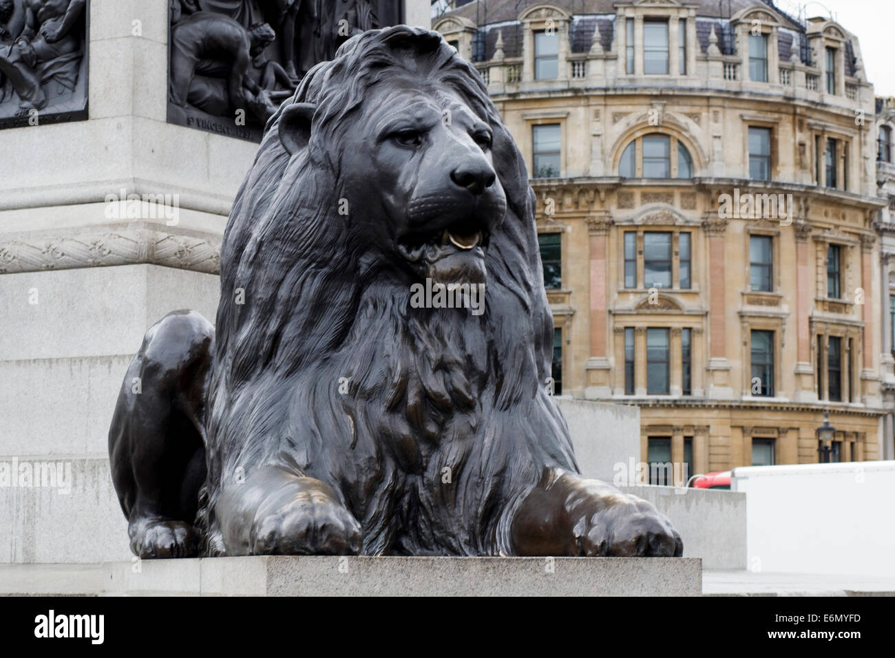 One of the famous lions at Trafalgar square London England Stock Photo