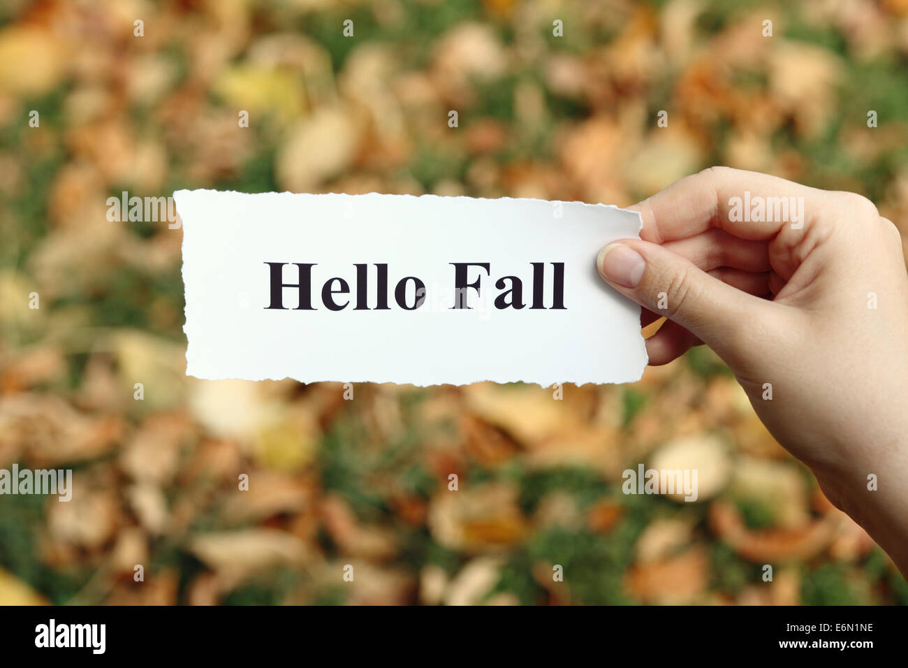 Torn piece of paper with the words saying 'Hello Fall' in the woman's hands against autumn background (yellow fallen leaves). Stock Photo