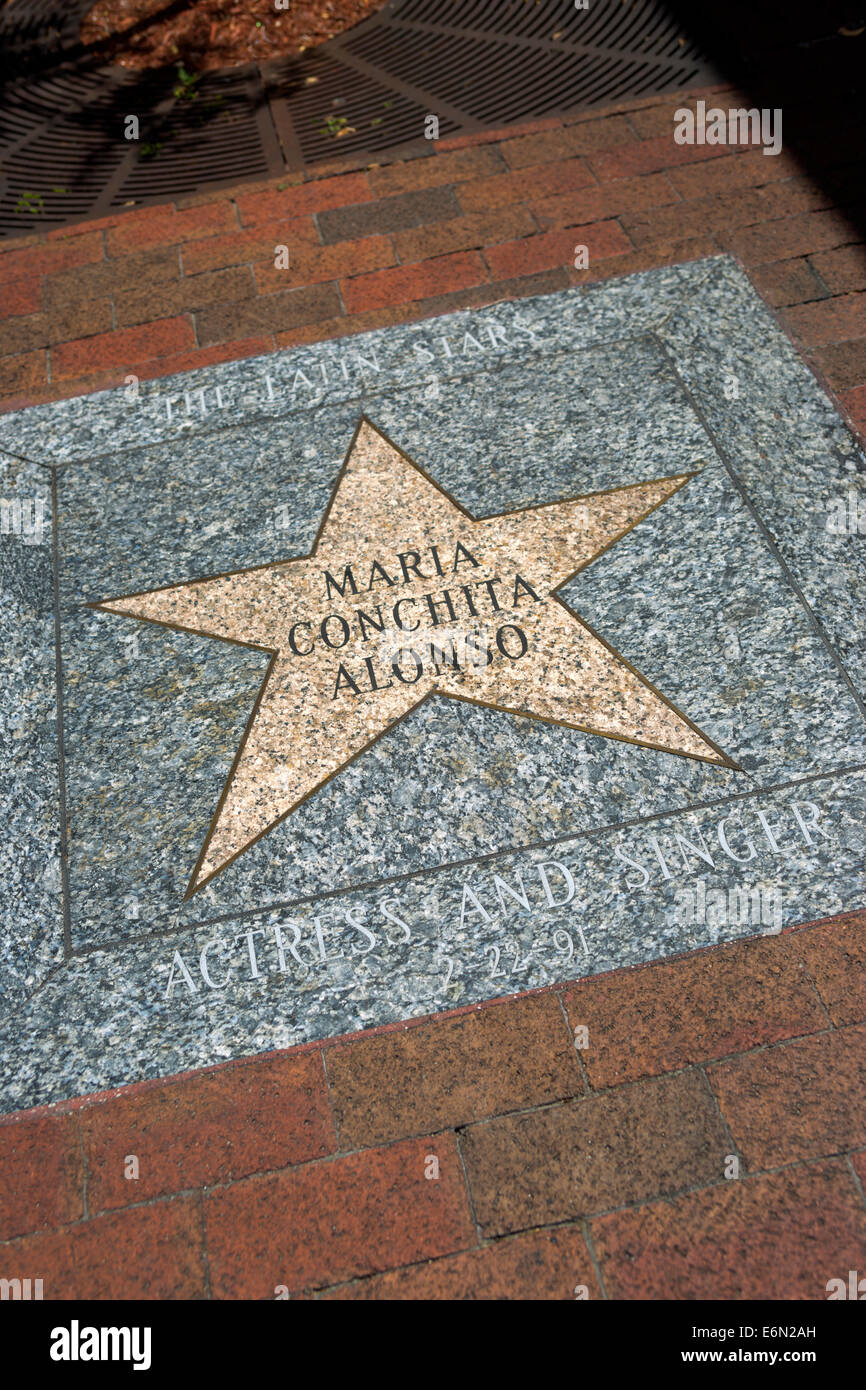 STARS CALLE OCHO WALK OF FAME EIGHTH STREET LITTLE HAVANA NEIGHBORHOOD  MIAMI FLORIDA Stock Photo - Alamy