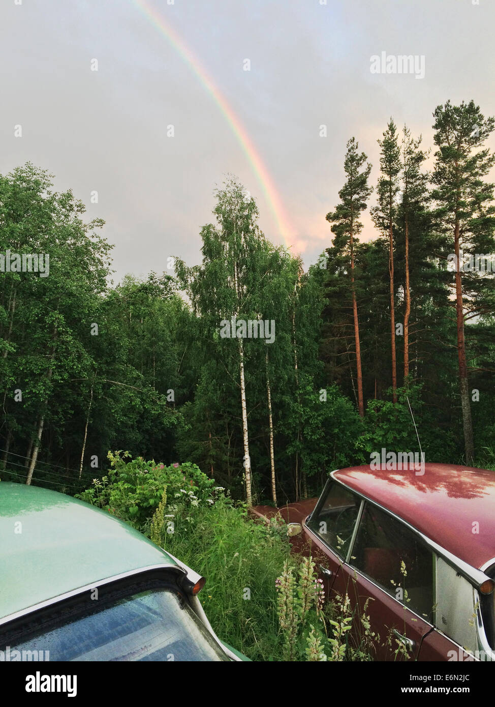 Two Citroen DS cars, green and red, rust in a Norwegian forest with a rainbow in the background. Stock Photo