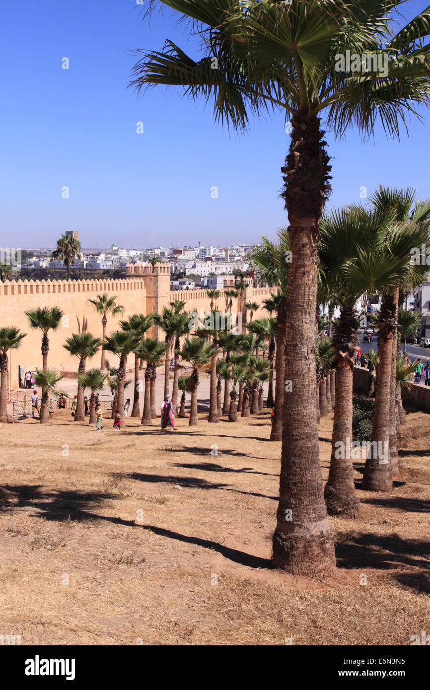 Trees Rabat Rabat Morocco Palm trees outside the tall walls of the Oudaia Kasbah ...