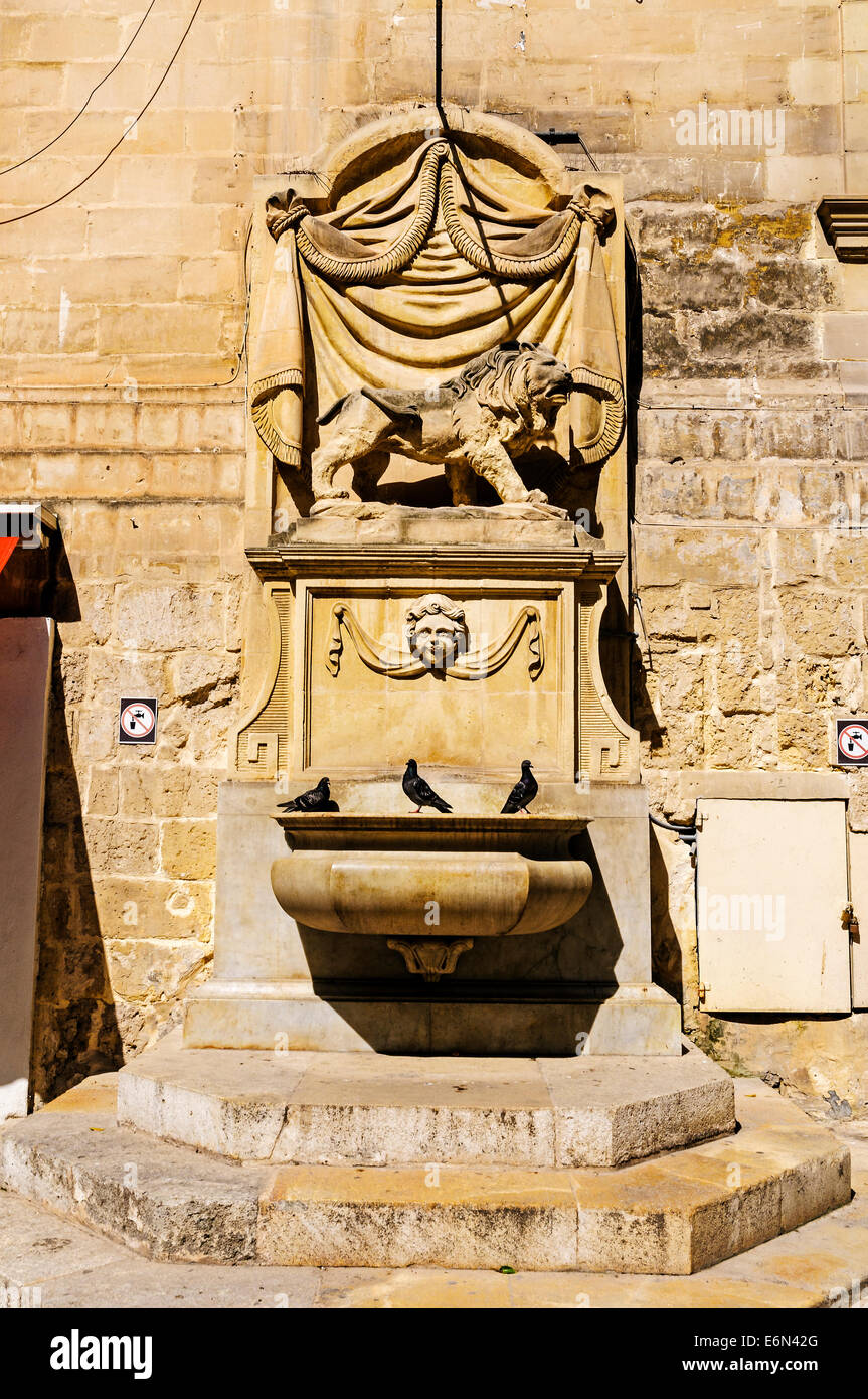 The Lion fountain, sculpted out of the native limestone to decorate the austere facade of St. Johns Co-Cathedral, Valletta Stock Photo