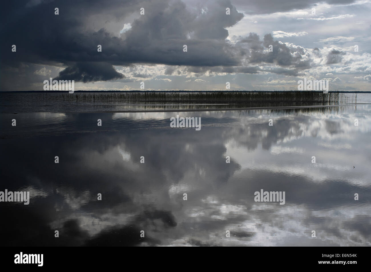 Landscape under stormy sky. Lake Võrtsjärv. Viljandi county. Estonia. Stock Photo