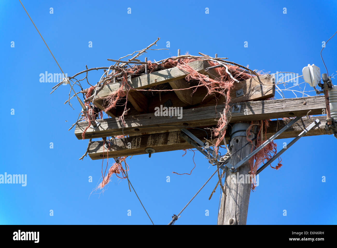 Raptor nest pole hi-res stock photography and images - Alamy