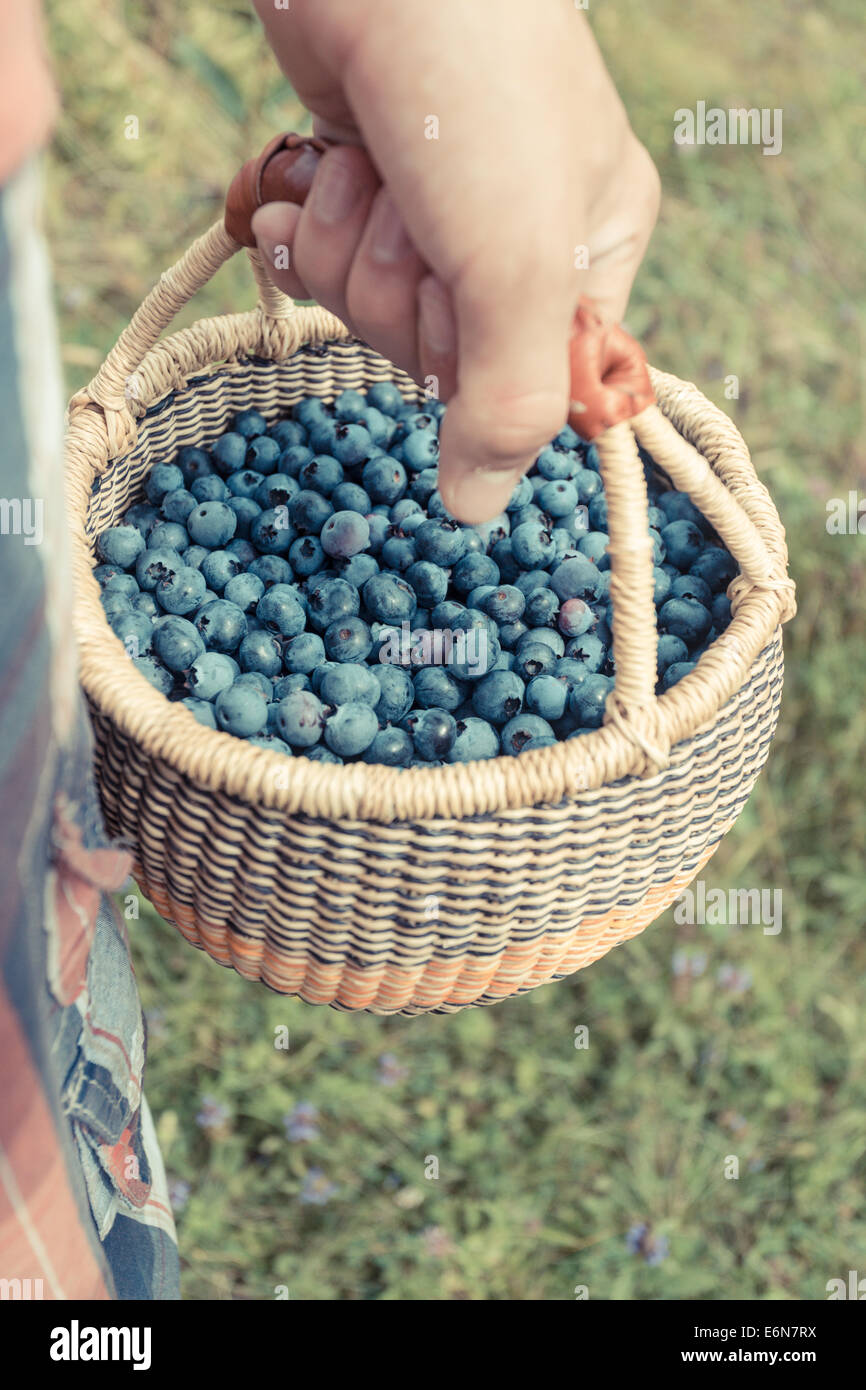 Picket Fresh Cropped image of a hand holding a basket full of fresh picket ...