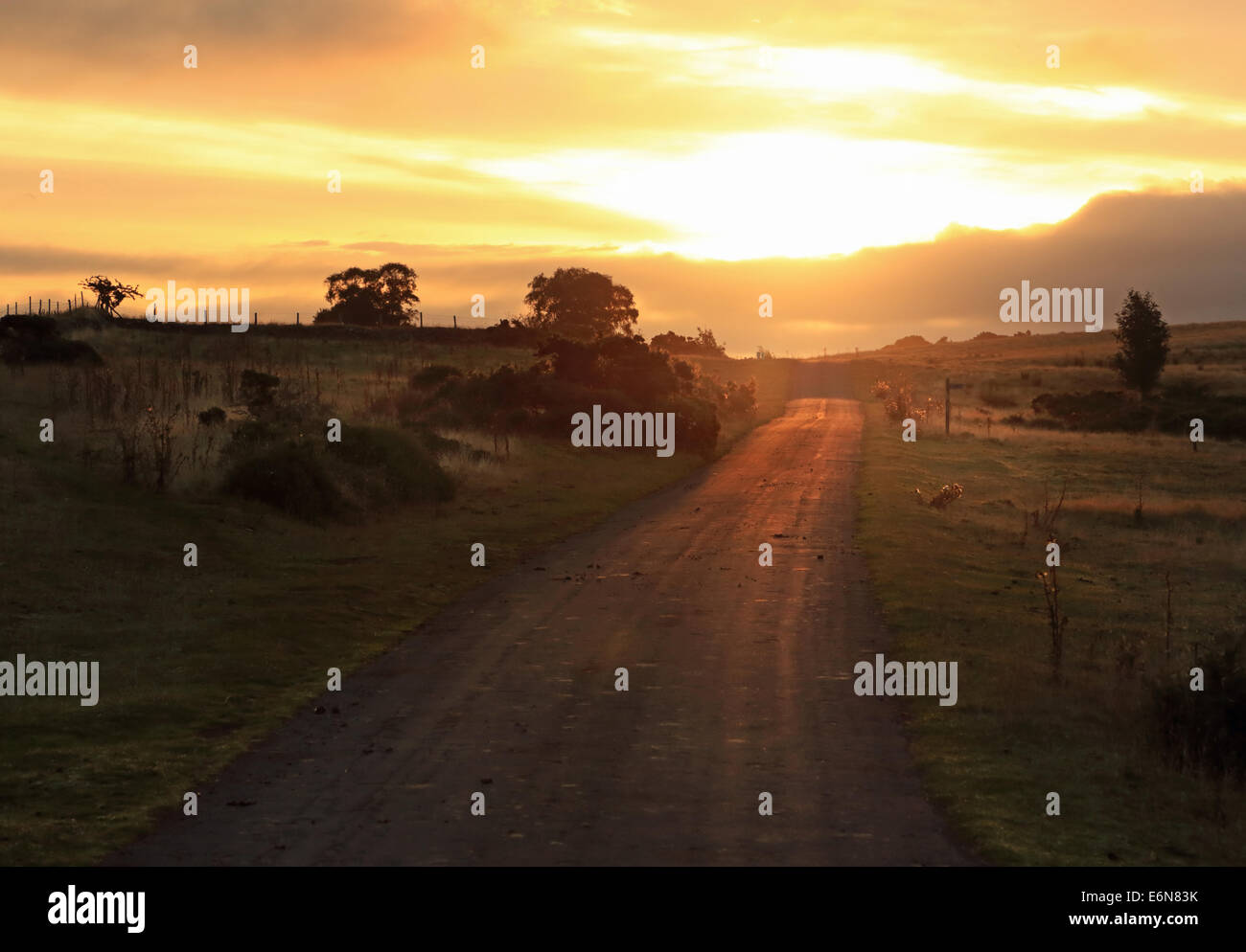 Golden glow sunrise hi-res stock photography and images - Alamy